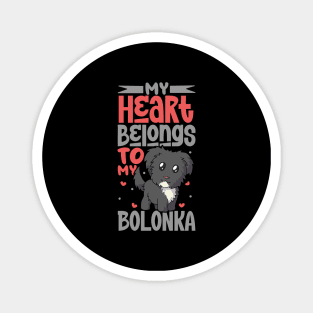 My heart belongs to my Bolonka Zwetna Magnet